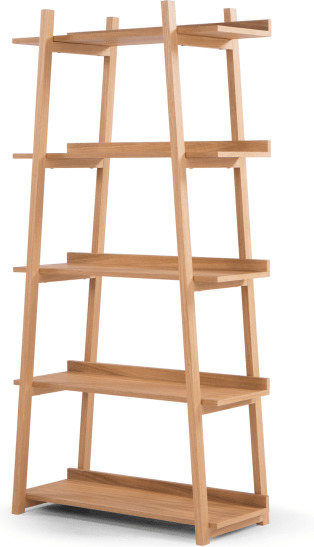 289a360b3fa372e9189f2f81df1f22ab522fbf31ec97d5920a06d1280de04837.jpg An Image of Darcey Shelves, Oak