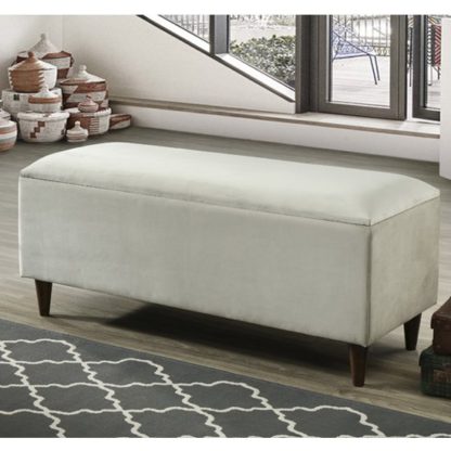 486b3a4101a895c0132a8c556a69a411136cd9b6573021423dae7bcc28c67096.jpg An Image of Emma Velvet Upholstered Storage Ottoman In Champagne