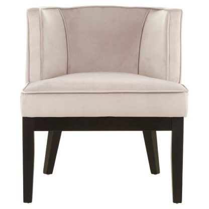 898490bfd9b37f2d1f9f1e7c34fb36daacc1b8dcbf05c62f1221dd9b8556893a.jpg An Image of Adalinise Rounded Velvet Upholstered Bedroom Chair In Light Grey