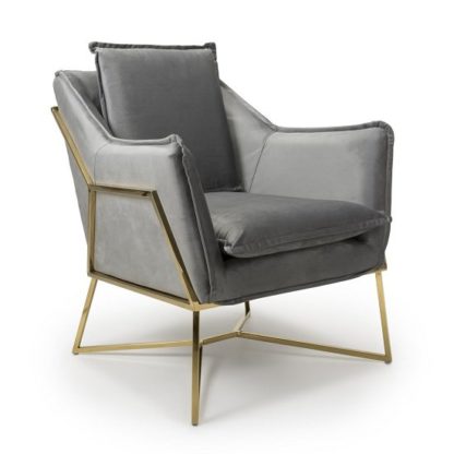 An Image of Carrello Arm Chair In Brushed Velvet Grey With Gold Frame