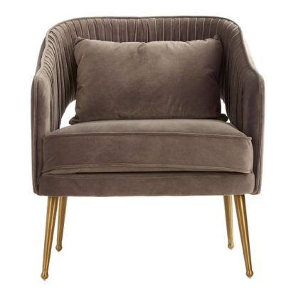 An Image of Agnetas Velvet Armchair In Grey With Gold Stainless Steel Legs