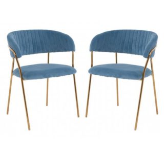 An Image of Tamzo Blue Velvet Dining Chairs With Gold Legs In Pair