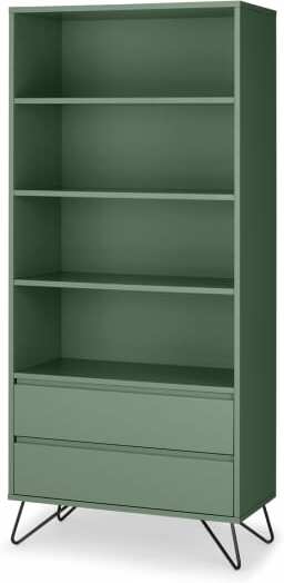 An Image of Elona Bookcase, Fern Green & Black