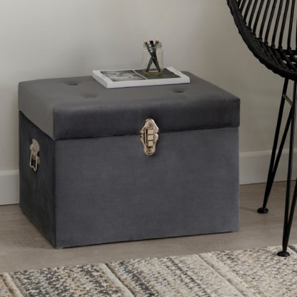 An Image of Luxe Grey Velvet Trunk Grey