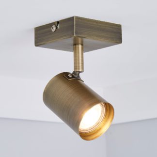 An Image of Newark 1 Light Antique Bronze Spotlight Brown