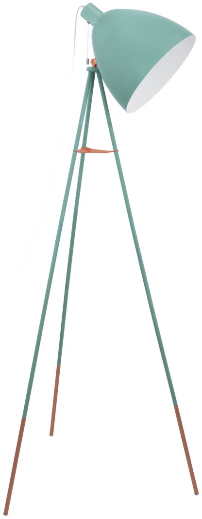 An Image of Eglo Carlton Vintage Floor Lamp - Mint.