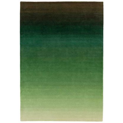 An Image of Ombre Rug Green