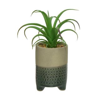 An Image of Medium Grey Pot Plant