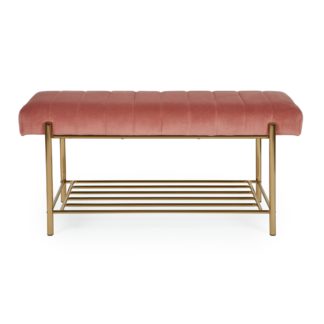 An Image of Kendall Bench Rose (Pink)