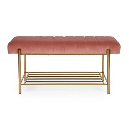 An Image of Kendall Bench Rose (Pink)