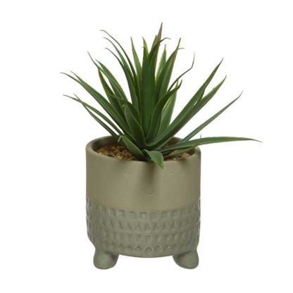 An Image of Small Beige Pot Plant