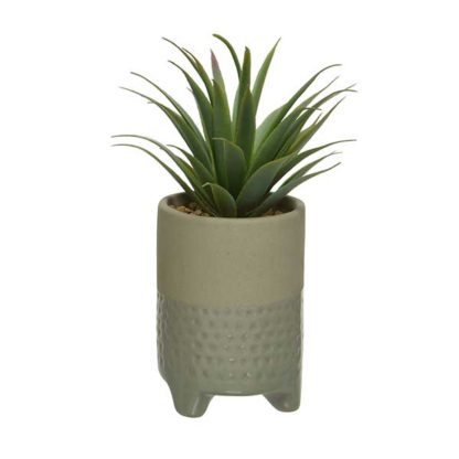 An Image of Medium Beige Pot Plant