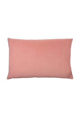 An Image of Contra Cushion