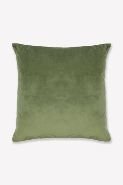 An Image of Velvet Cushion