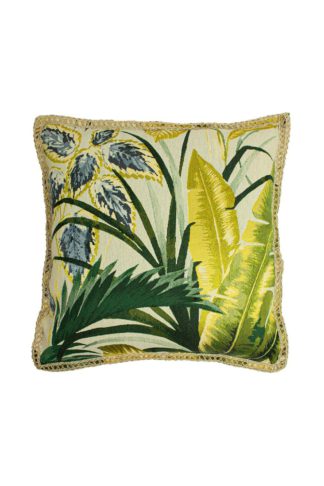 An Image of Amazonia Cushion