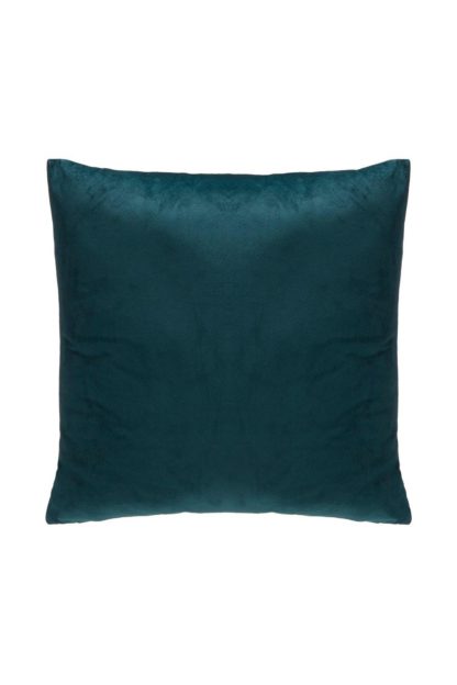 An Image of Velvet Cushion