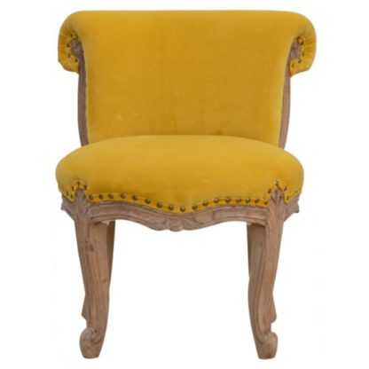 An Image of Cuzco Velvet Accent Chair In Mustard And Sunbleach