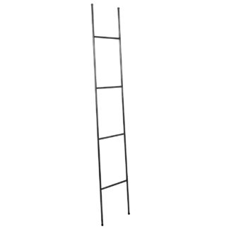 An Image of Black Ladder