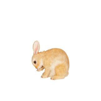 An Image of Resin Rabbit