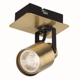 An Image of Lucy Single Lamp Spotlight, Gold/Black