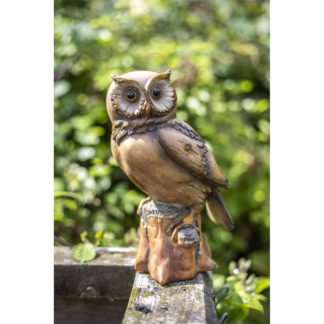 An Image of Resin wood Effect Owl