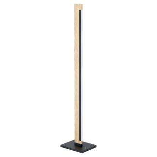 An Image of Eglo Camacho LED Floor Lamp