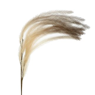 An Image of Faux Feather Plume, Sand