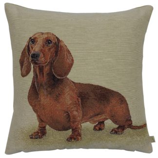 An Image of Sausage Dog Tapestry Cushion - 45x45cm