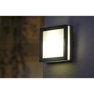 An Image of Lutec Seine 4W LED Wall Light - Graphite and Opal