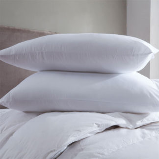An Image of Soft Touch Pillow - Pair