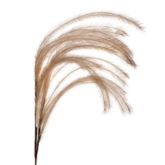 An Image of Faux Feather Plume, Beige