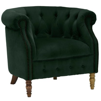 An Image of Ollena Velvet Chair, Plush Honeycreeper