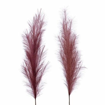 An Image of Set of 2 Rust Pampas Grass
