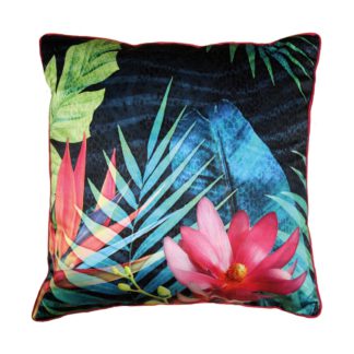 An Image of Arthouse Pindorama Cushion