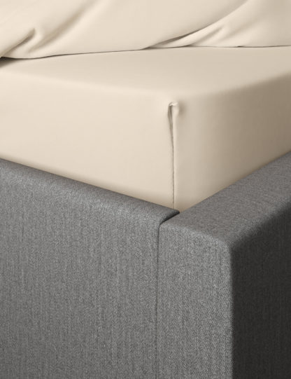 dfedbafc309c4288084aeff5f35b2a57df5117a7b069313d429dd326170000fb.jpg An Image of M&S Dreamskin® Pure Cotton Fitted Sheet