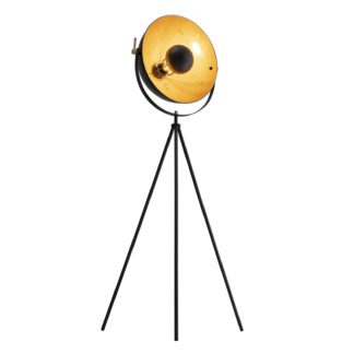 An Image of Kennedy Black & Gold Floor Lamp