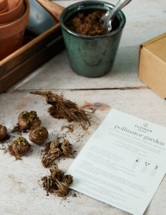 An Image of M&S Pollinator Garden Flower Bulb Collection