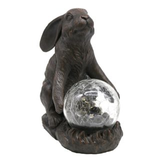 An Image of Hare Solar Light