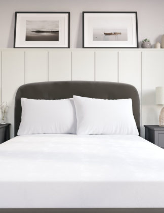 An Image of M&S 2 Pack Egyptian Cotton Standard Pillowcases