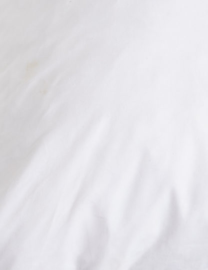 cca7bb31e551f8bfa374a49512ec97761f726d7a629a22d99205de256611fc67.jpg An Image of M&S Duck Feather and Down Square Pillow