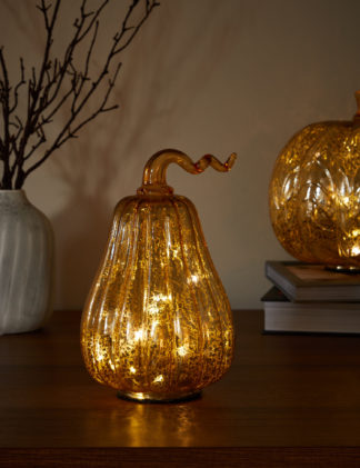 An Image of M&S Light Up Gold Halloween Squash Decoration