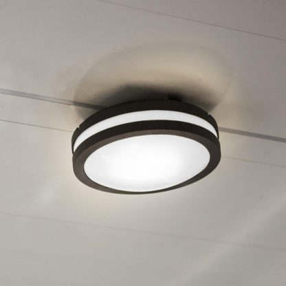 An Image of Lutec Titan LED Wall/Ceiling Light - Dark Grey