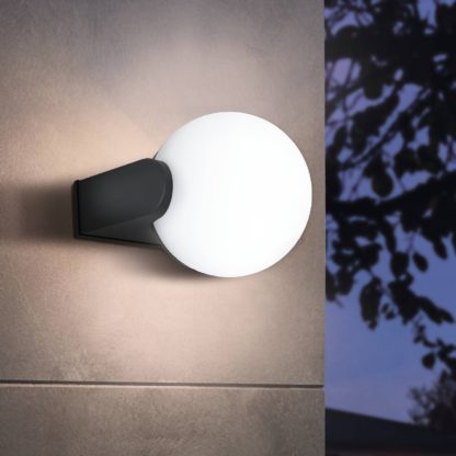 An Image of Eglo Rubio Outdoor Wall Light