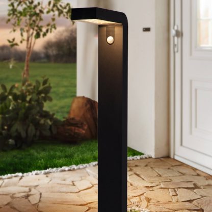 An Image of Eglo Baracconi Outdoor LED Sensor Solar Ground Light