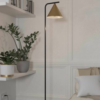 An Image of Eglo Narices Floor Lamp - Black & Brushed Brass