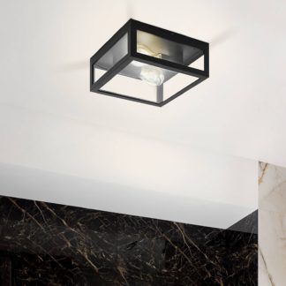 An Image of Eglo Amezola 2 Lamp Bathroom Ceiling/Wall Light