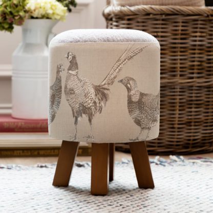 An Image of Monty Fabric Footstool Monty Thistle Glen