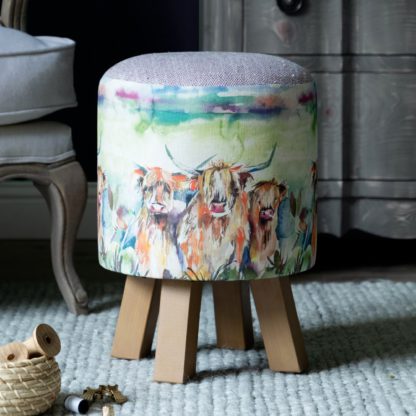 An Image of Monty Fabric Footstool Monty Thistle Glen