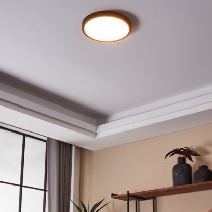 An Image of EGLO Fueva-Z Round Wall & Ceiling Light Black